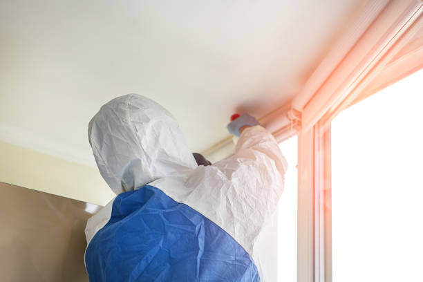 Asbestos and Lead Testing During Mold Inspection in East Aurora, NY